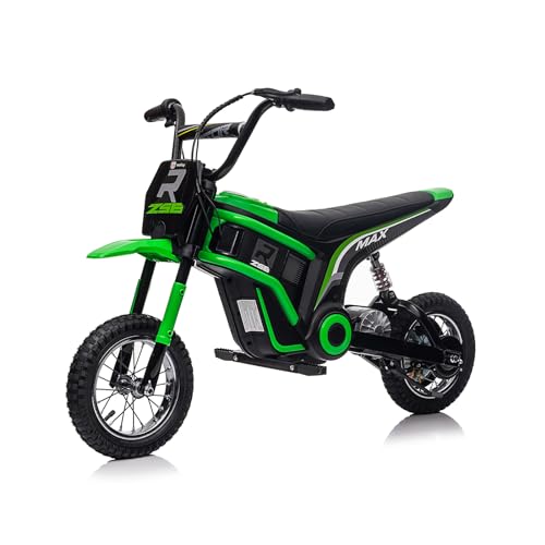 Electric Dirt Bikes The Ultimate Guide to Choosing Electric Dirt Bikes for Beginners Best