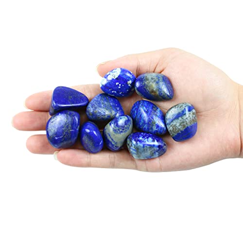 10 Packs Brazilian Lapis Lazuli Crystals (0.5LB)