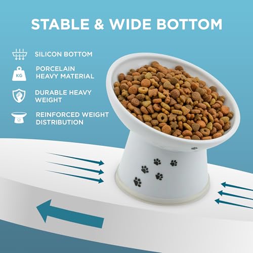 Necoichi Porcelain (Ceramic) Elevated Cat Food Bowl, 15° Tilted (Cat, Regular Tilted) by 猫壱 - Used condition - Image 3