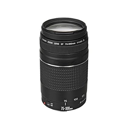 Canon Ef 75 300 Mm F 4 5 6 Iii Telephoto Zoom Lens For Canon Slr Cameras Amazon In Electronics