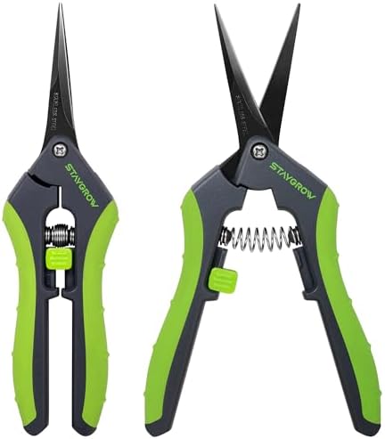 STAYGROW 2pcs 6.5" Pruning Shears for Gardening, Ultra Sharp Garden Scissors for Precise Cuts, Stainless Steel Bonsai Clippers with Spring Loaded, 6.5 Inch Garden Shears (1pc Straight & 1pc Curved)