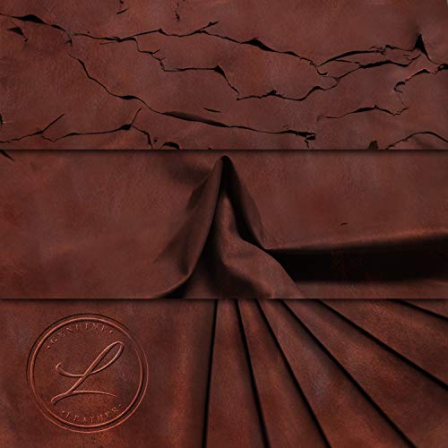 Laverapelle Men's Genuine Lambskin Leather Jacket (Black, Biker Jacket) - 15012003