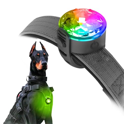 UMIONE PET LIGHT: Wasserdichtes Hundelicht, langlebig und ideal für Nachtspaziergänge (Bunt, 1 Stück)