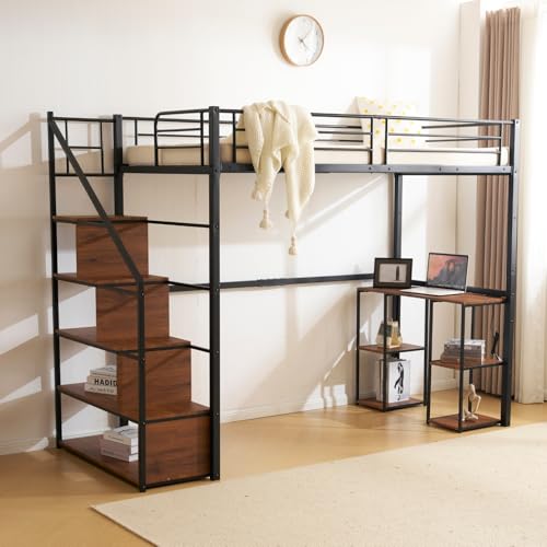 SOFTSEA tgxbh VO pCvxbh nC^Cv Ki fXNt [t RZg [ l炵 X`[ ϐk xbh  (ubN)