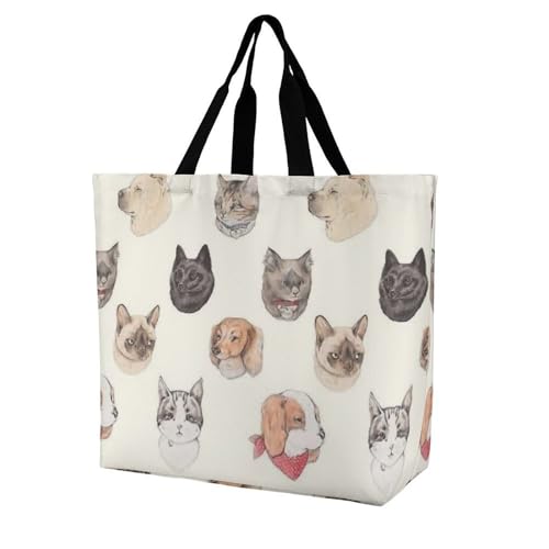 [EXDYNA] VbsOobO킢  L GRobO e g[gobO  ܂肽 y |  @\ ʋ ʊw s o| }U[YobO fB[X Y  Vv