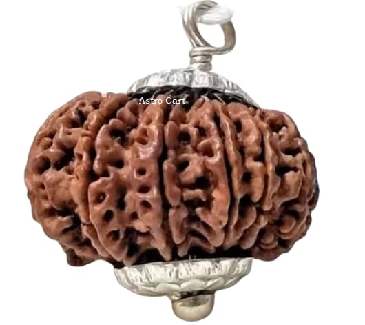Brown 21 Mukhi Rudraksha From Nepal Origin 21 Face Rudraksha Original Certified इक्कीस मुखी रुद्राक्ष Natural Ikkis|Ekkis Mukhi Twenty One Face Rudraksha For Pendant-image-17