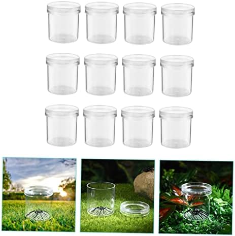 Abaodam 12Pcs Box Rearing Box Clear Container Science Nature Exploration Tools Cage Portable jar 5 41kqft87a6L. AC