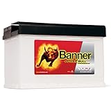 POWER BULL PROFESSIONAL PRO P77 42