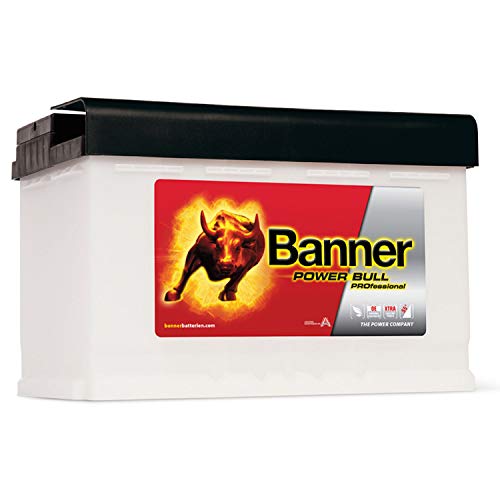 Banner POWER BULL PROFESSIONAL PRO P77 42