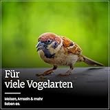 Erdtmanns Fettfutter für Wildvögel 15 × 1000 g – energiereiches Ganzjahresfutter mit Haferflocken, Erdnüssen & Früchten – ideal für Balkon & Garten – beliebt bei Meisen, Amseln