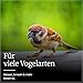 Erdtmanns Fettfutter für Wildvögel 15 × 1000 g – energiereiches Ganzjahresfutter mit Haferflocken, Erdnüssen & Früchten – ideal für Balkon & Garten – beliebt bei Meisen, Amseln