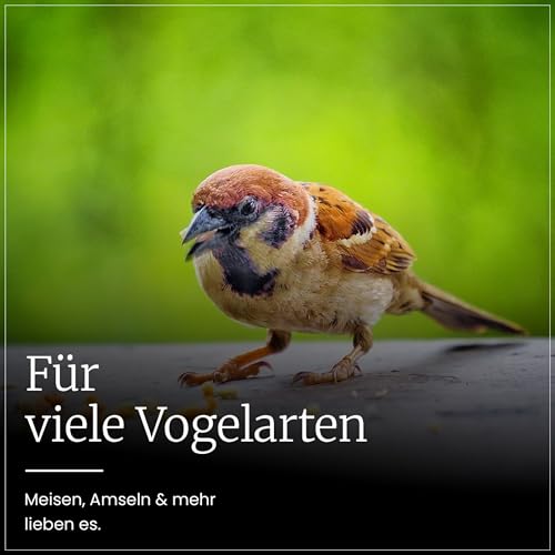 Erdtmanns Fettfutter für Wildvögel 15 × 1000 g – energiereiches Ganzjahresfutter mit Haferflocken, Erdnüssen & Früchten – ideal für Balkon & Garten – beliebt bei Meisen, Amseln