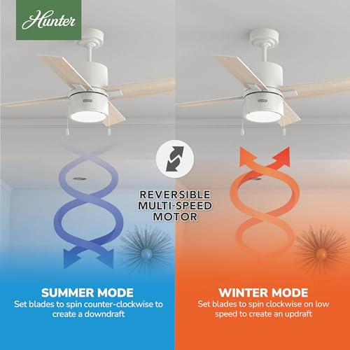 Image of Hunter Beck, Indoor, Ceiling Fan, with LED Light, 42 inch, Fresh White