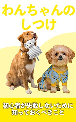わんちゃんのしつけ 初心者が失敗しないために知っておくべきこと