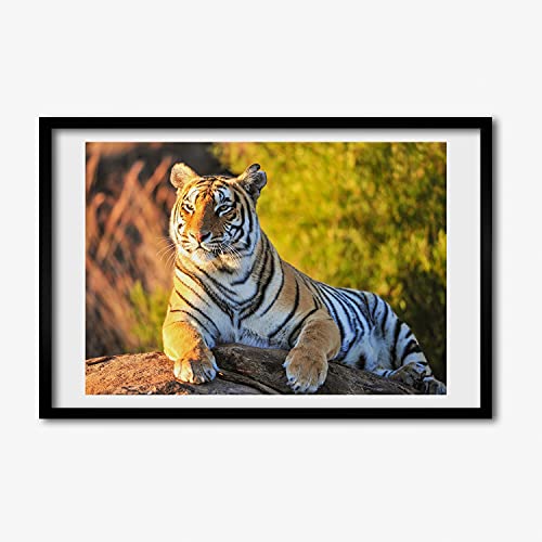 Portrait d'un tigre en tableau décoratif cadre bois 60x40