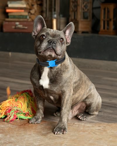 image for Joytale 2 Pack Cat Collar Airtag Holder,Elastic Silicone Air Tag Holde