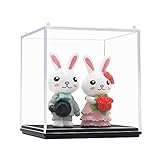 Odoria Clear Acrylic Display Box Case 2.6