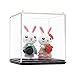 Odoria Clear Acrylic Display Box Case 2.6" Cube Small Size Dustproof Tennis Ball Figure Display