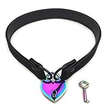 Succuba Padlock Choker Collar Necklace Lolita Collar Cat Kitty Velvet Necklace with Lock and Key For Women and Men (C, 16)