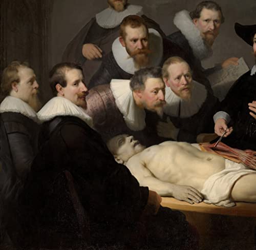 Rembrandt van Rijn The anatomy lesson poster toile 50x70 art chic
