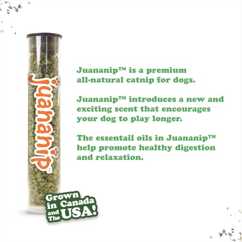 Image of Doggijuana Stocking & Juananip Bundle | Holiday 2 Pack, Squeaky Dog Toy | Refillable squeaky plush dog toy + organic calming catnip; eases anxiety, stress & storms; drug-free, hand-harvested