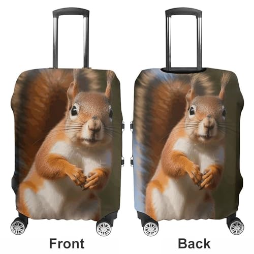 Carry on Luggage Cover Squirrel Funny Animal Suitcase Covers for Luggages Tsa Approved Travel Luggage Sleeve Protector Elastic Suitcase Protector Anti-Scratch Washable Fits 19-30 Inch Case -M3