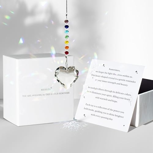 Hegelda Birthday Gifts for Women Friendship,Mothers Day Inspirati...