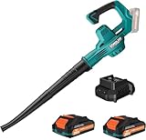 Leaf Blower Cordless with 2 * 20V Battery and Charger,2 Speed Levels, Electric Lightweight Leaf Blowers for Lawn Care, Yard, Sidewalk and Snow Blowing, Non-Slip Hand Blower