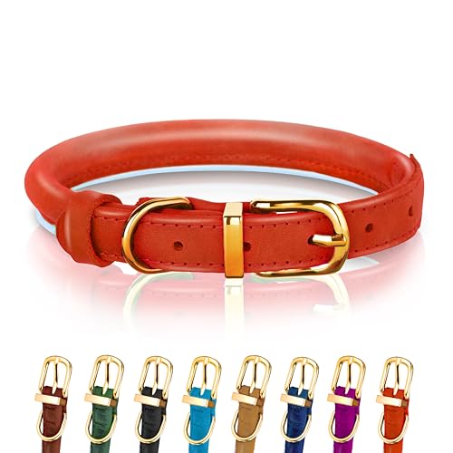 Top 10 Best Rolled Leather Dog Collar Reviews & Buying Guide Katynel