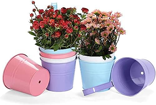 Neekor Large Iron Hanging Plant Pots,8 Pcs Metal Hanging Flower Pots Flower Holder Detachable Hook Flower Pots with Drainage Hole… (4-Colour Mixed)