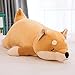 Hnzxy 50 CM Peluche Shiba Inu Chien en Peluche Oreiller Animal Coussin Moelleux Oreillers en Peluche pour Chien Poupée Cadeaux Corgi Akita Peluche poupée Jouet pour Un canapé Décor Cadeaux