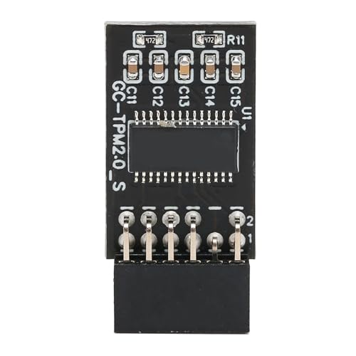 Module TPM 2.0 solution blocage mise à jour système 12 broches