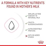 Royal Canin 55195 Babycat Milk 300g Pulver - 8