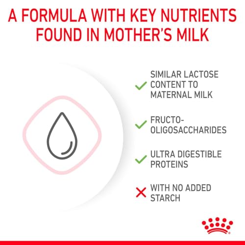 Royal Canin Babycat Milk | 300 g | Milchaustausch-Futtermittel für Katzenwelpen | Von der Geburt bis zur Entwöhnung (0-2 Monate)| Für ein harmonisches Wachstum