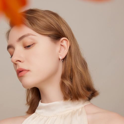 BISAER Star Earrings 925 Sterling Silver Cute Hoop Earrings for Women Hypoallergenic Small Sleeper Tragus Hoop Earrings Cartilage Jewelry Gifts4