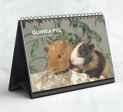 Calendrier de bureau 2027-2028 en forme de cochon d'Inde avec papier épais (15,25 cm x 22 cm, similaire au format A5)