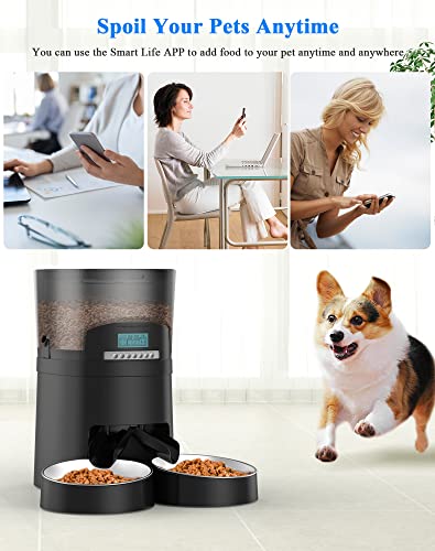 Honeyguaridan Automatic Cat Feeder For 2 Cats 4.5L,Wi-Fi Smart Pet Feeder,Timer Cat Food Dispenser For Cats & Dogs, App Control,Desiccant, Voice Recorder,Stainless Steel Bowl 1-6 Meals A Day (Black) #TOP2