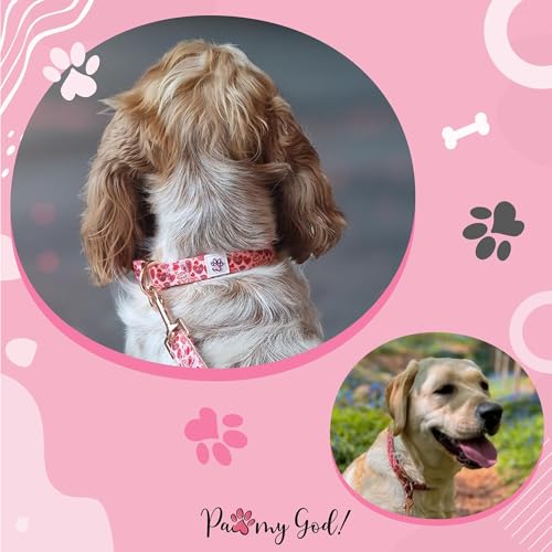 Collier pour chien rose Valentin idée cadeau pour petit chien - 4