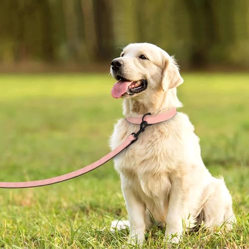 Image of Didog PU Leather Dog Collar and Leash Set, Soft Padded, Pink, Neck 18-22 inch