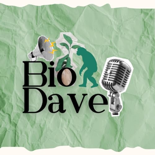 『Bio Dave』のカバーアート
