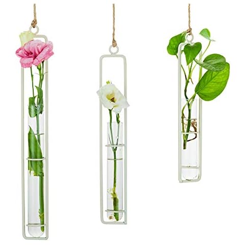 Sziqiqi Hanging Glass Propagation Station Set Cover