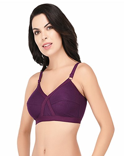 Image of Elina Women's Full Coverage Horsery D-Cup Bra.(Set of 1)