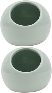 NOLITOY 2 Pçs Hamster Iglu Cerâmica Hamster Esconderijo Coelho Casa De Hamster Cerâmica Banho De Areia Para Hamsters Hamster Resfriamento Esconderijo Coelho Casa De Cerâmica Cama Gaiola