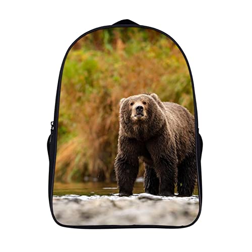 Sac d'école léger Bear de 40x28x16cm pour soulager le dos des petits et grands
