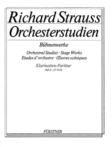 Orchesterstudien 2