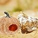Amosfun Resin Pumpkin Reptile Hideout 3-Inch Terrarium Decor for Lizards Frogs Turtles Naturalistic Reptile Tank Shelter Cave