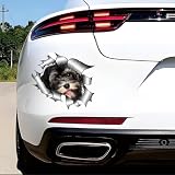 Havaneser Hund Aufkleber, 3D Zerrissener Metall-Effekt, Reflektierend, Wasserfest, Lustiger Havanese Aufkleber für Laptop, Auto, Kühlschrank (15cm/5.9 Inch)