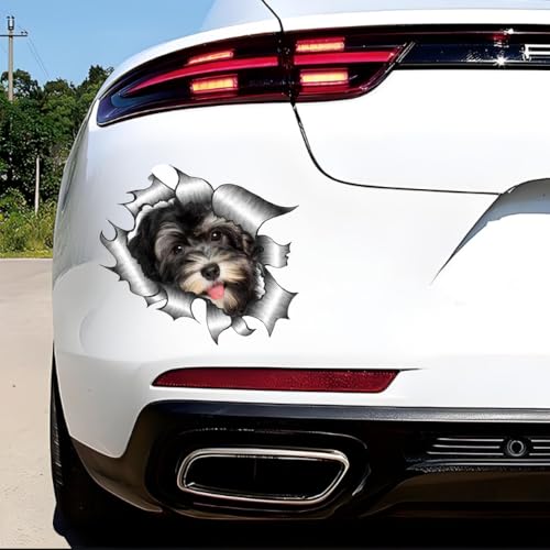 Havaneser Hund Aufkleber, 3D Zerrissener Metall-Effekt, Reflektierend, Wasserfest, Lustiger Havanese Aufkleber für Laptop, Auto, Kühlschrank (15cm/5.9 Inch)