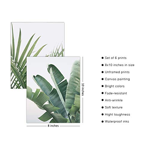 Hoozgee Botanical Wall Art Prints Set Of 6 Tropical Leaves Decor Plant Leaf Wall Art Canvas Prints For Wall Decor Green Wall Art Posters Set For Living Room Decor  thumb #1