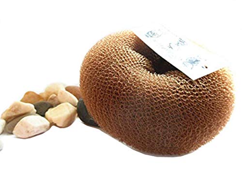 TONGKUN Hair Styling Tool Hair Bun Ring Donut Extra- Large 10cm 3.93" inches 1pc (Light Brown)